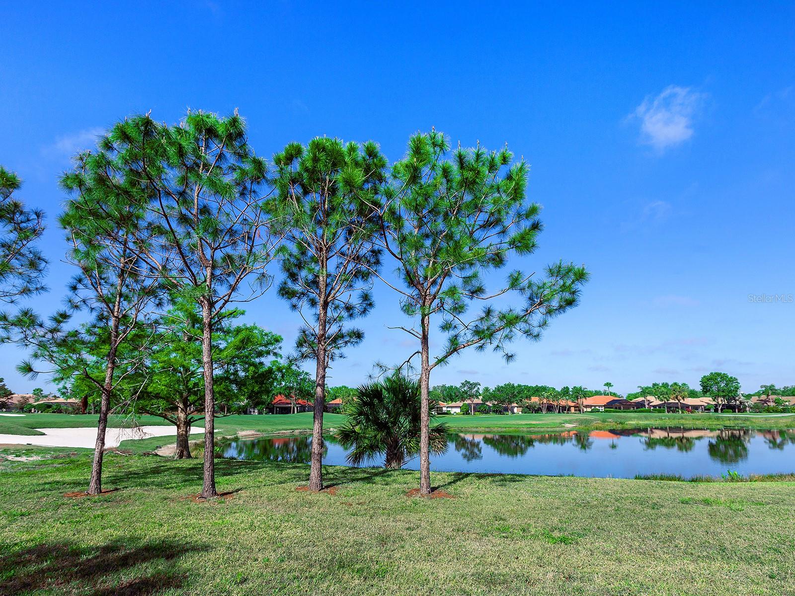 8142 MIRAMAR WAY #71, LAKEWOOD RANCH, FL, 34202