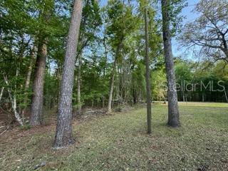 8320 SW 25TH PL, BELL, FL, 32619