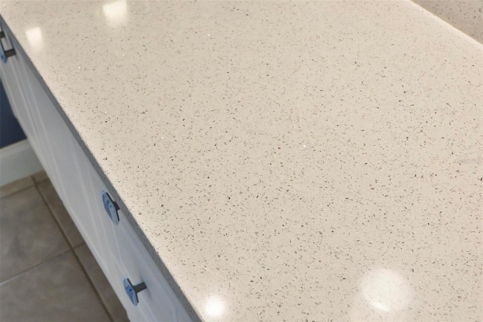 16 EGRET DR, PALM COAST, FL, 32137