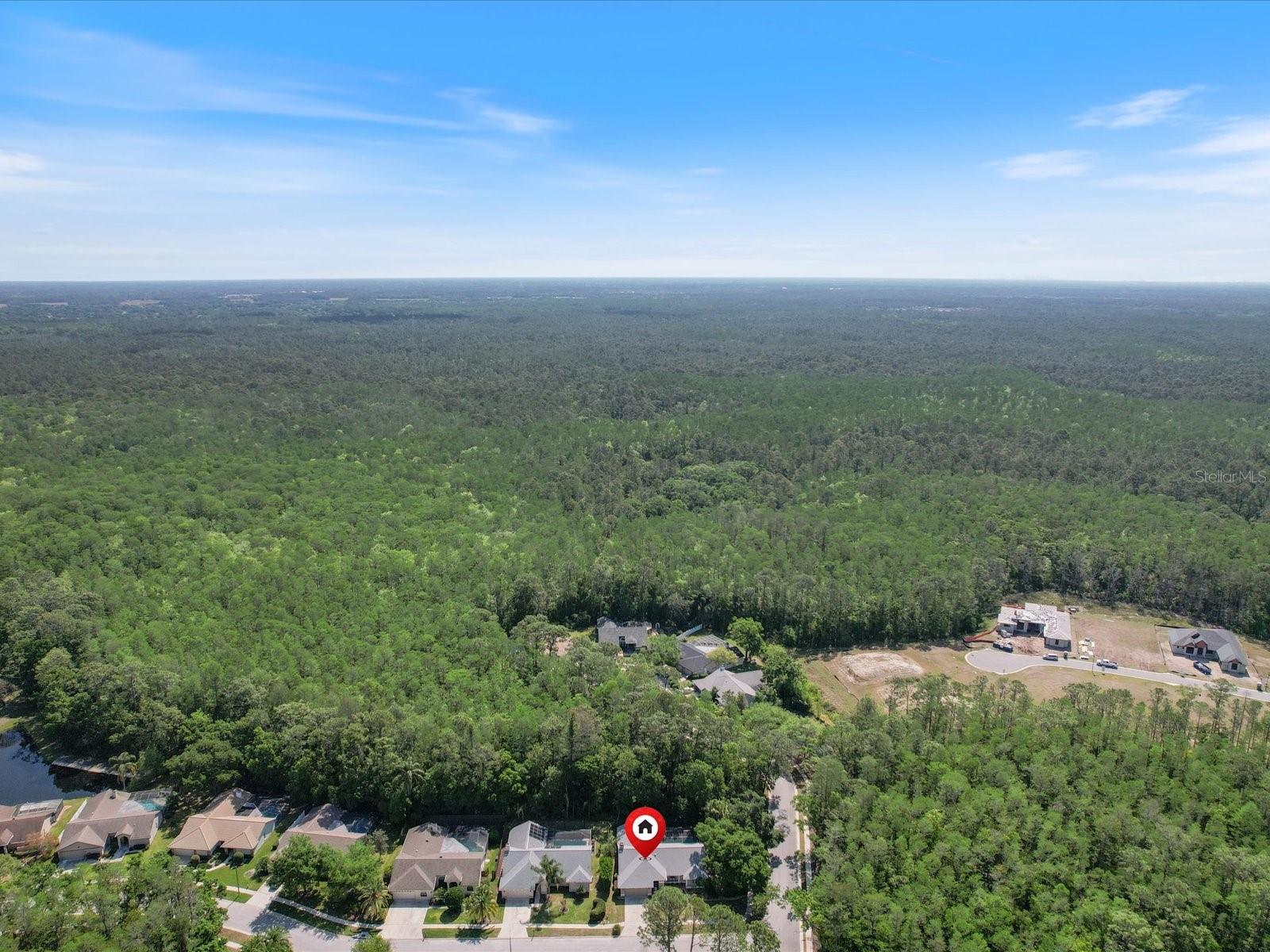 3171 ROXMERE DR, PALM HARBOR, FL, 34685