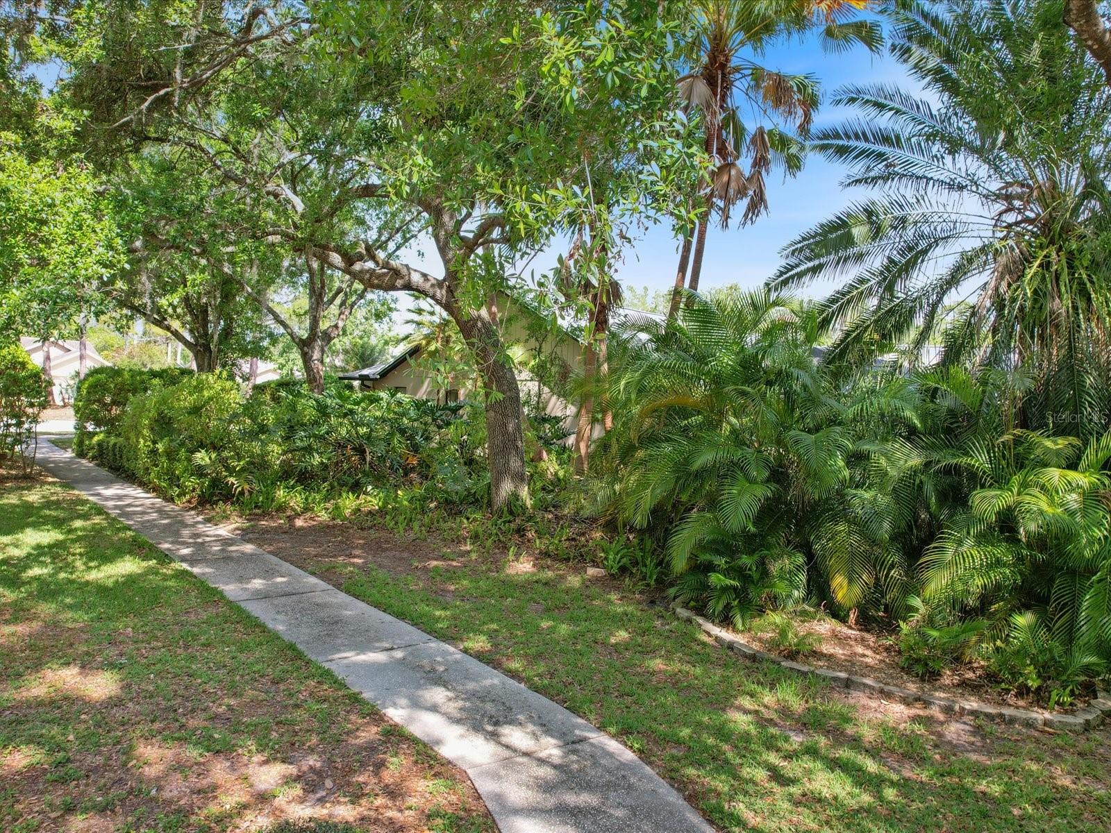 3171 ROXMERE DR, PALM HARBOR, FL, 34685