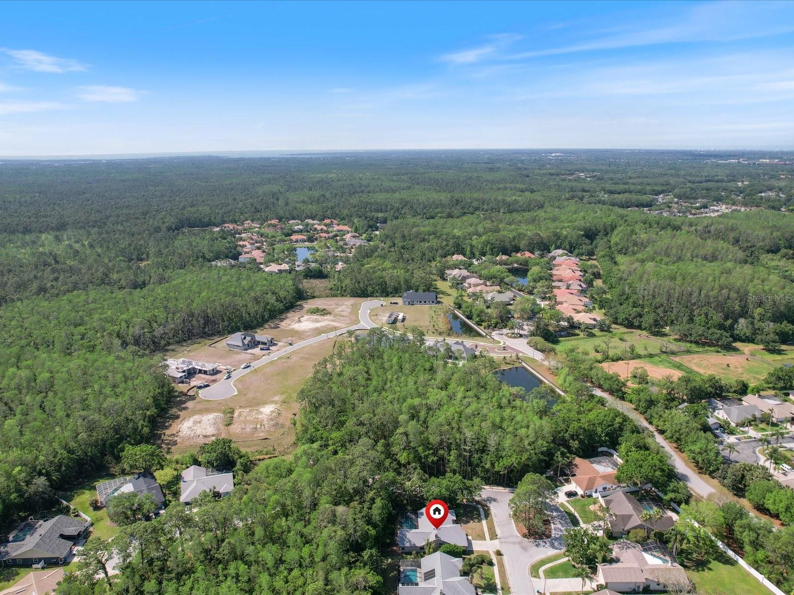 3171 ROXMERE DR, PALM HARBOR, FL, 34685