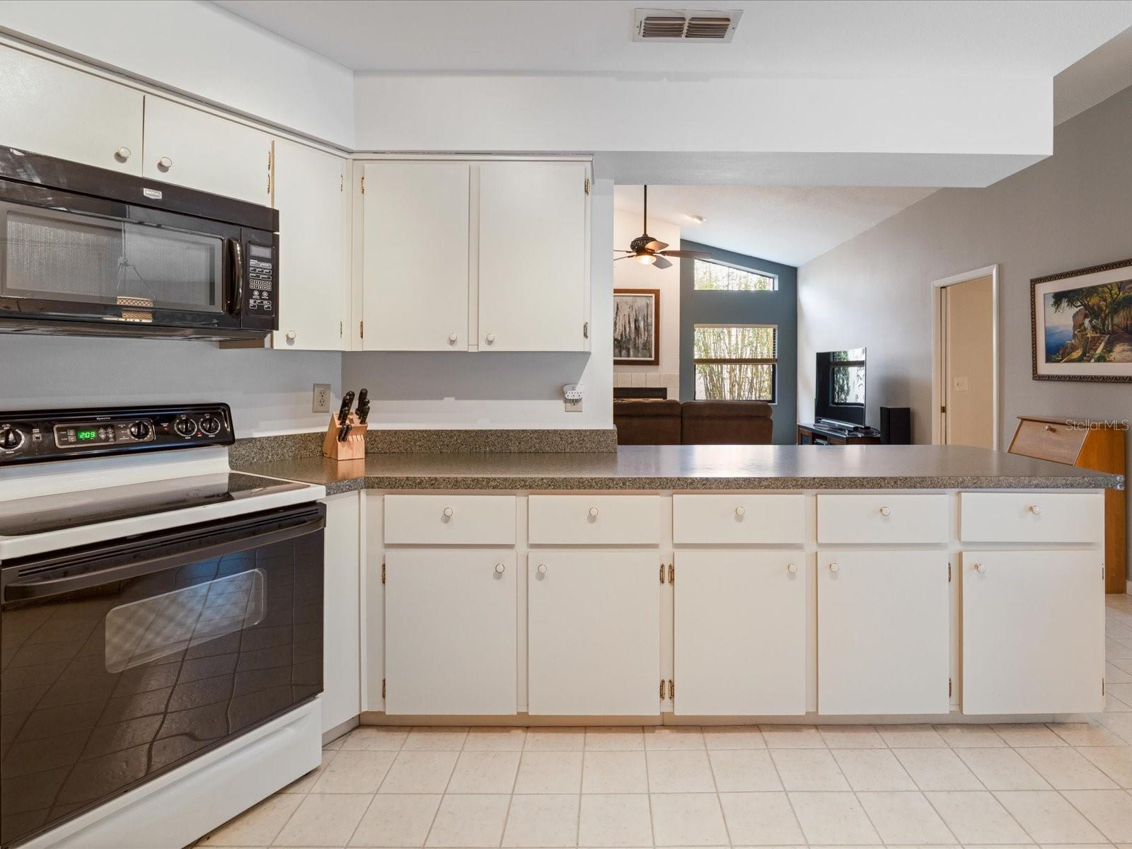 3171 ROXMERE DR, PALM HARBOR, FL, 34685