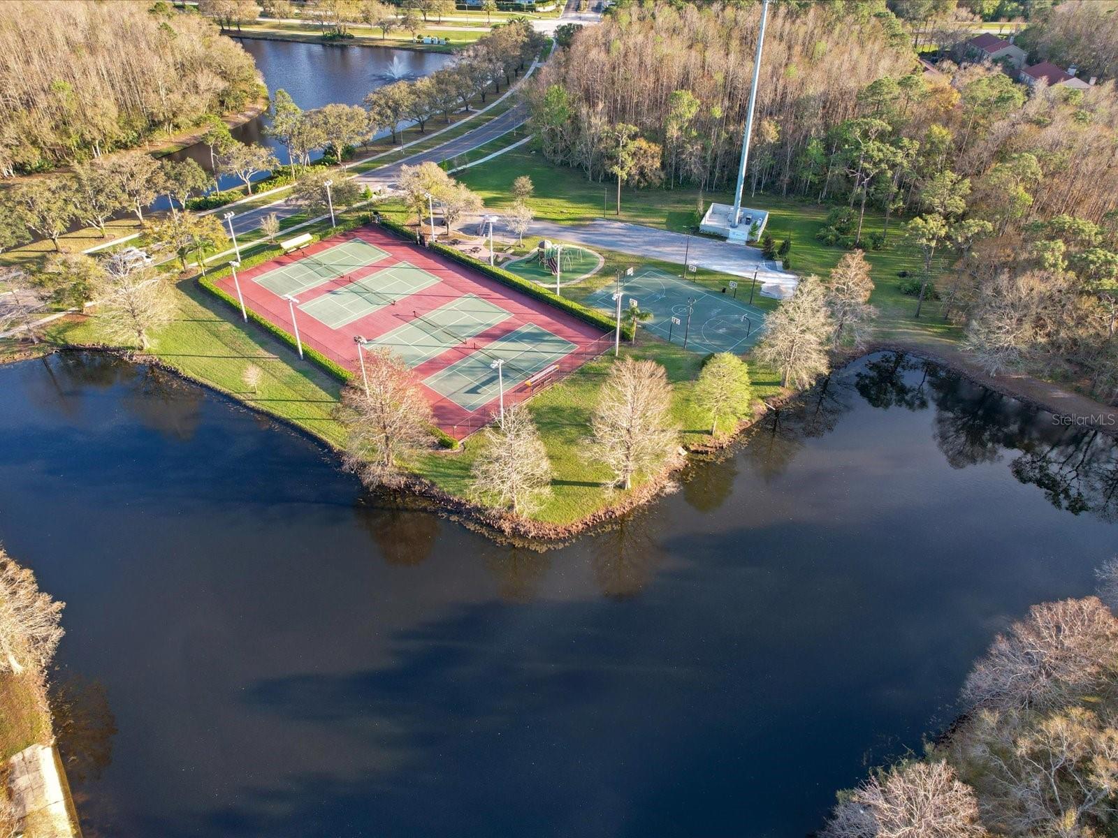 3171 ROXMERE DR, PALM HARBOR, FL, 34685