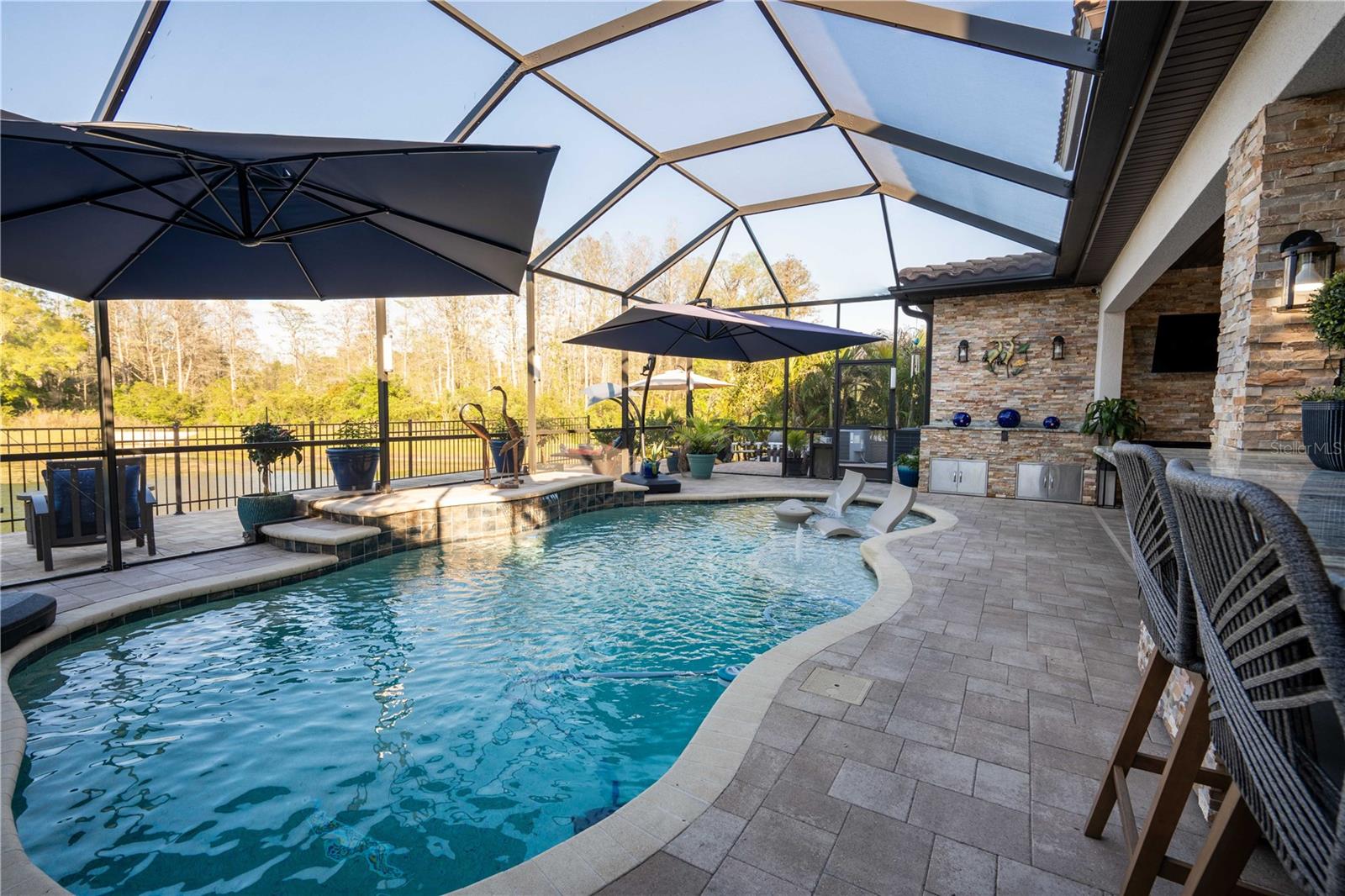 21867 AMELIA ROSE WAY, LAND O LAKES, FL, 34637