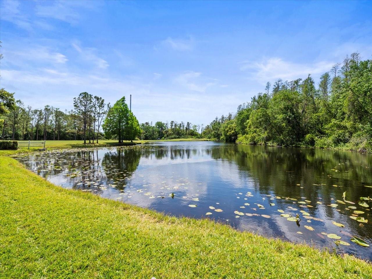 4337 HONEY VISTA CIR, TAMPA, FL, 33624