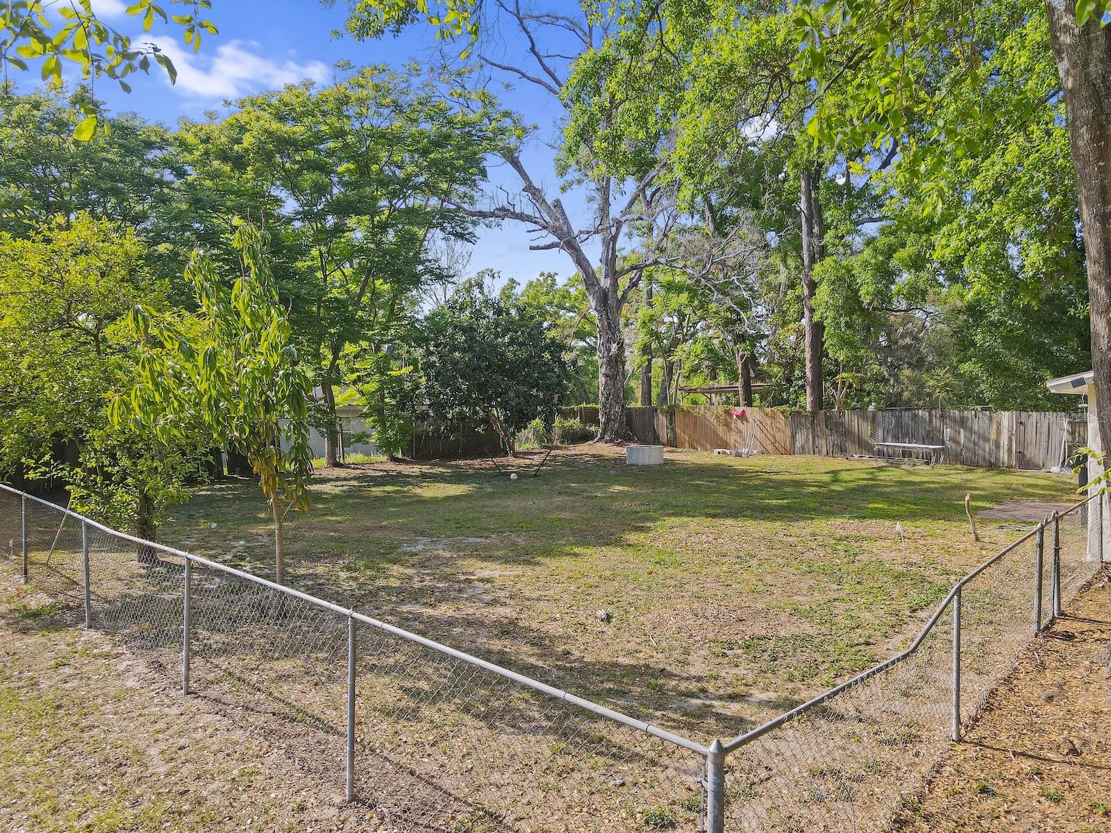 942 HAAS AVE, APOPKA, FL, 32703