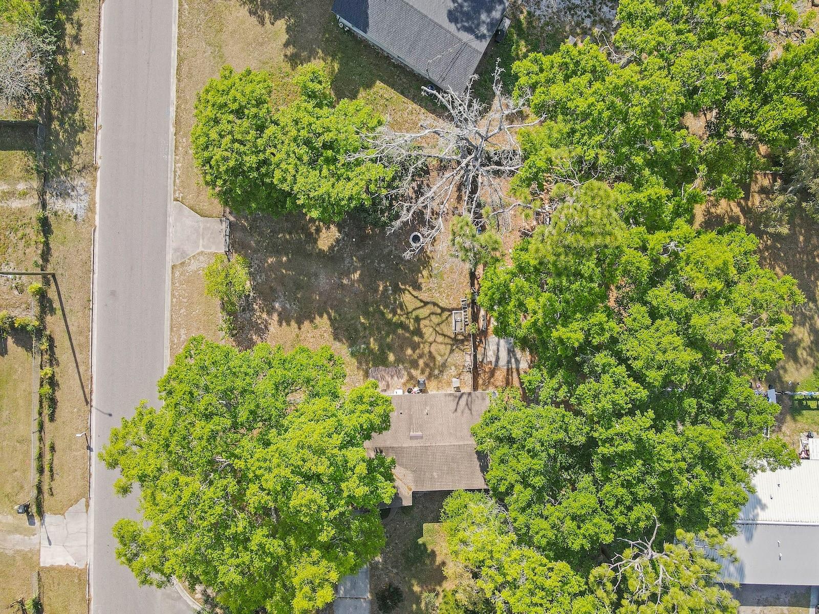 942 HAAS AVE, APOPKA, FL, 32703