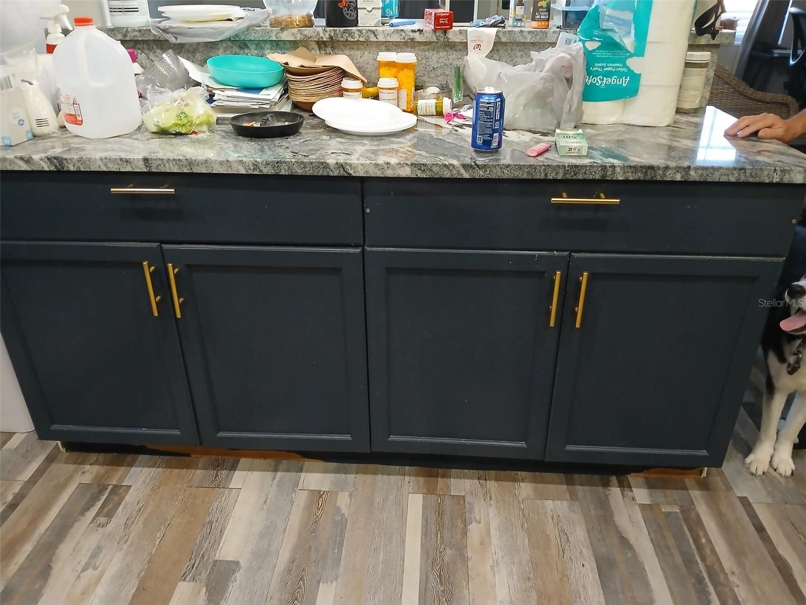 3307 CLYDESDALE DR, HOLIDAY, FL, 34691