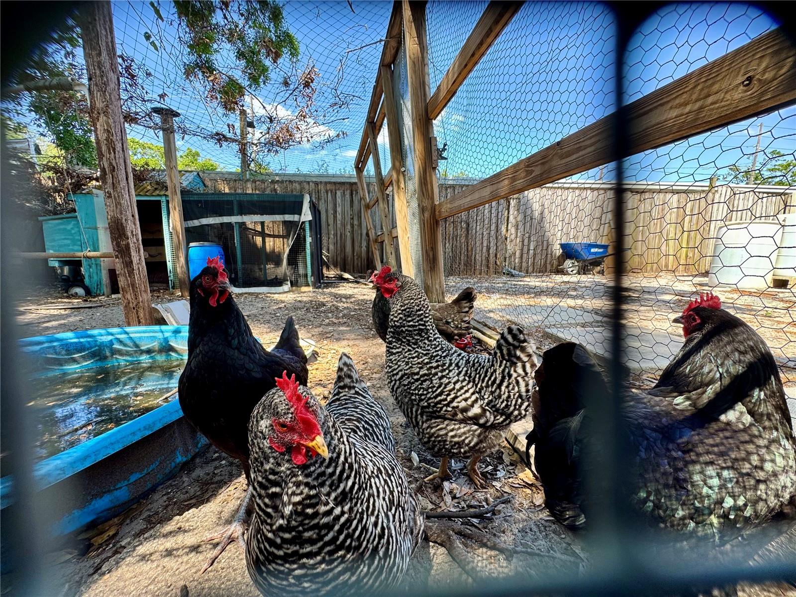 8180 61ST LN N, PINELLAS PARK, FL, 33781