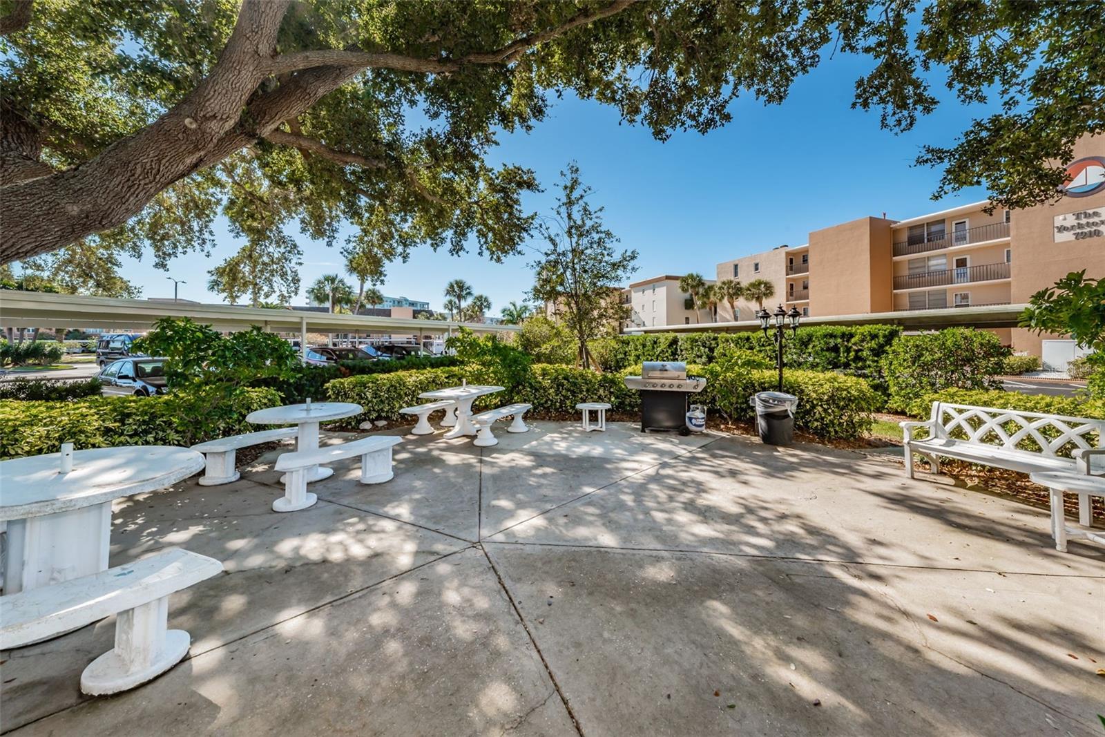 7700 SUN ISLAND DR S #404, SOUTH PASADENA, FL, 33707