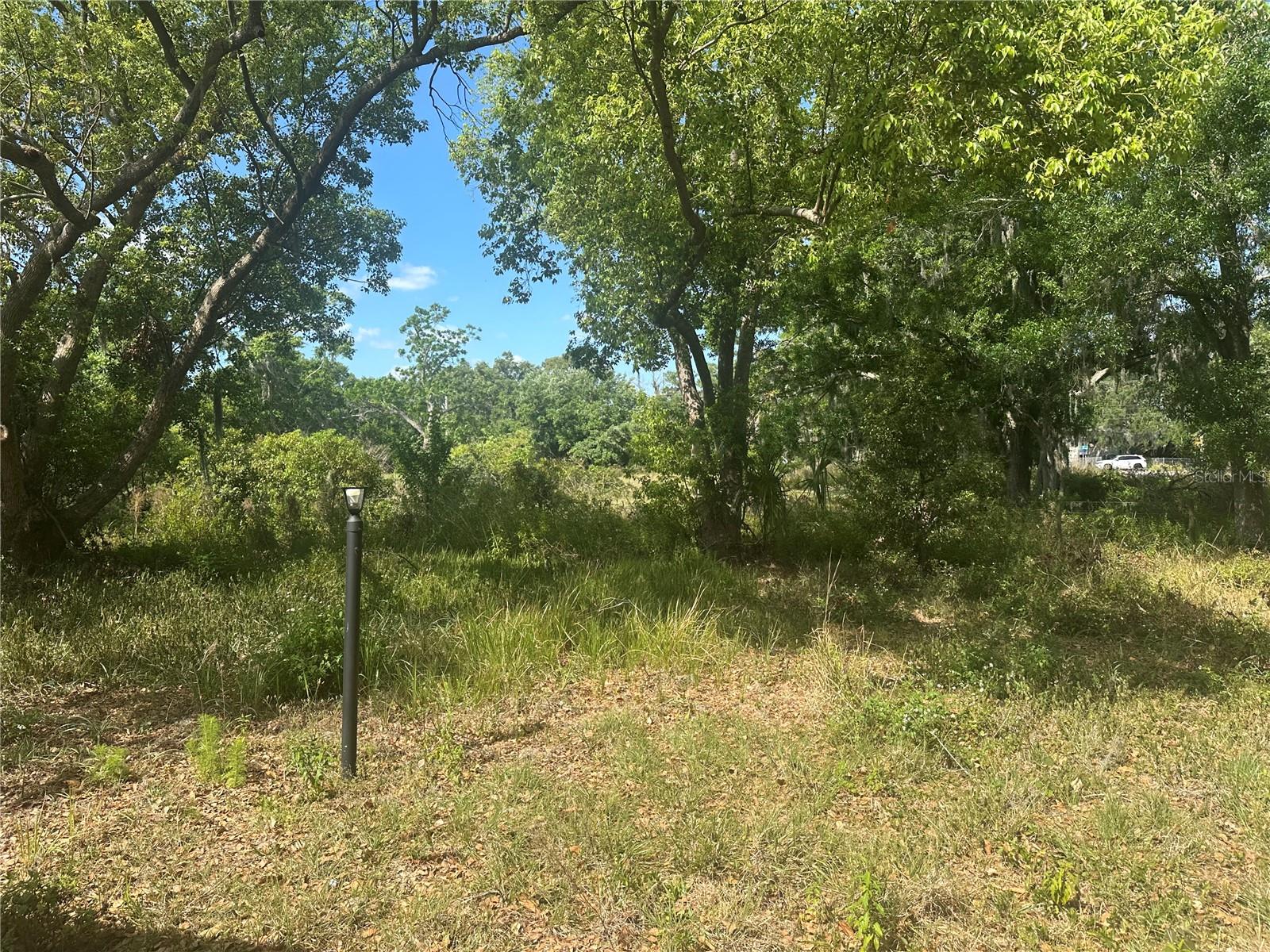 201 COPPER PENNY LN, LITHIA, FL, 33547