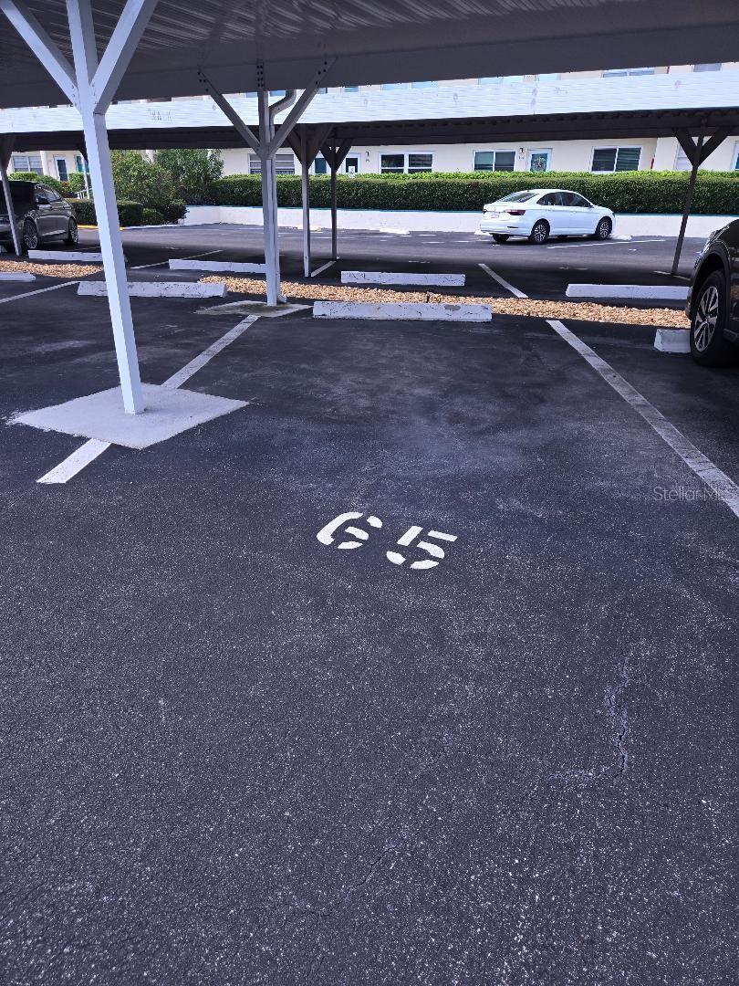 2960 59TH ST S #102, GULFPORT, FL, 33707