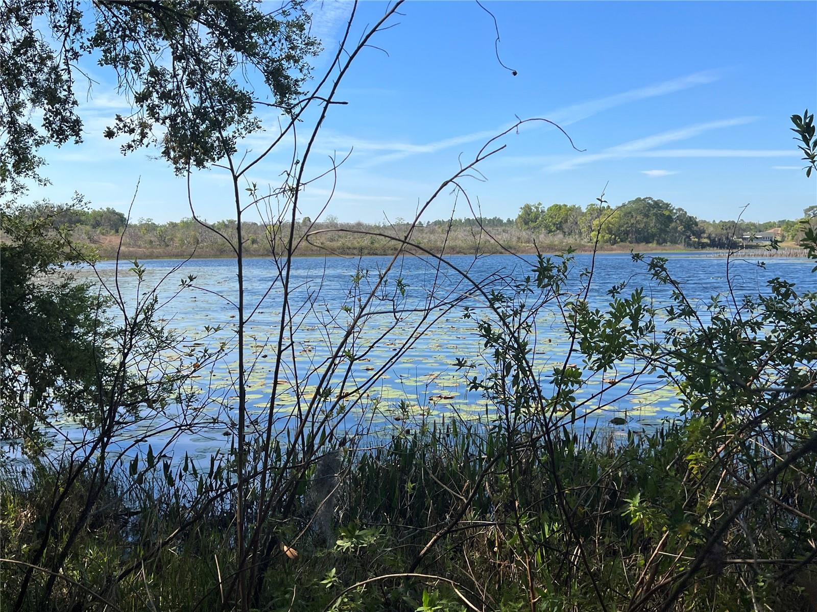 5 MALAUKA RADIAL TRAK, OCKLAWAHA, FL, 32179