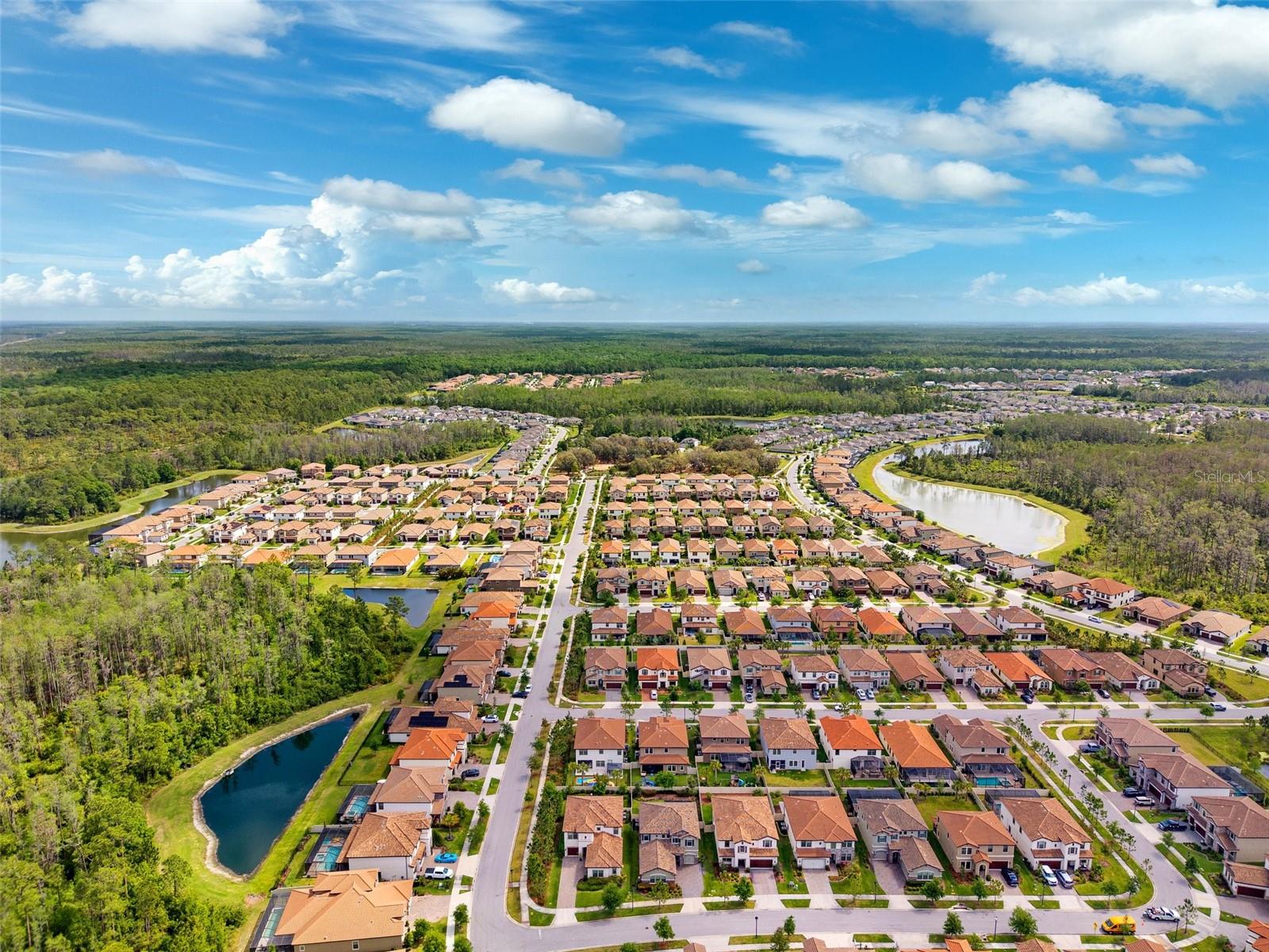 4012 DRAGONFLY TRL, ODESSA, FL, 33556