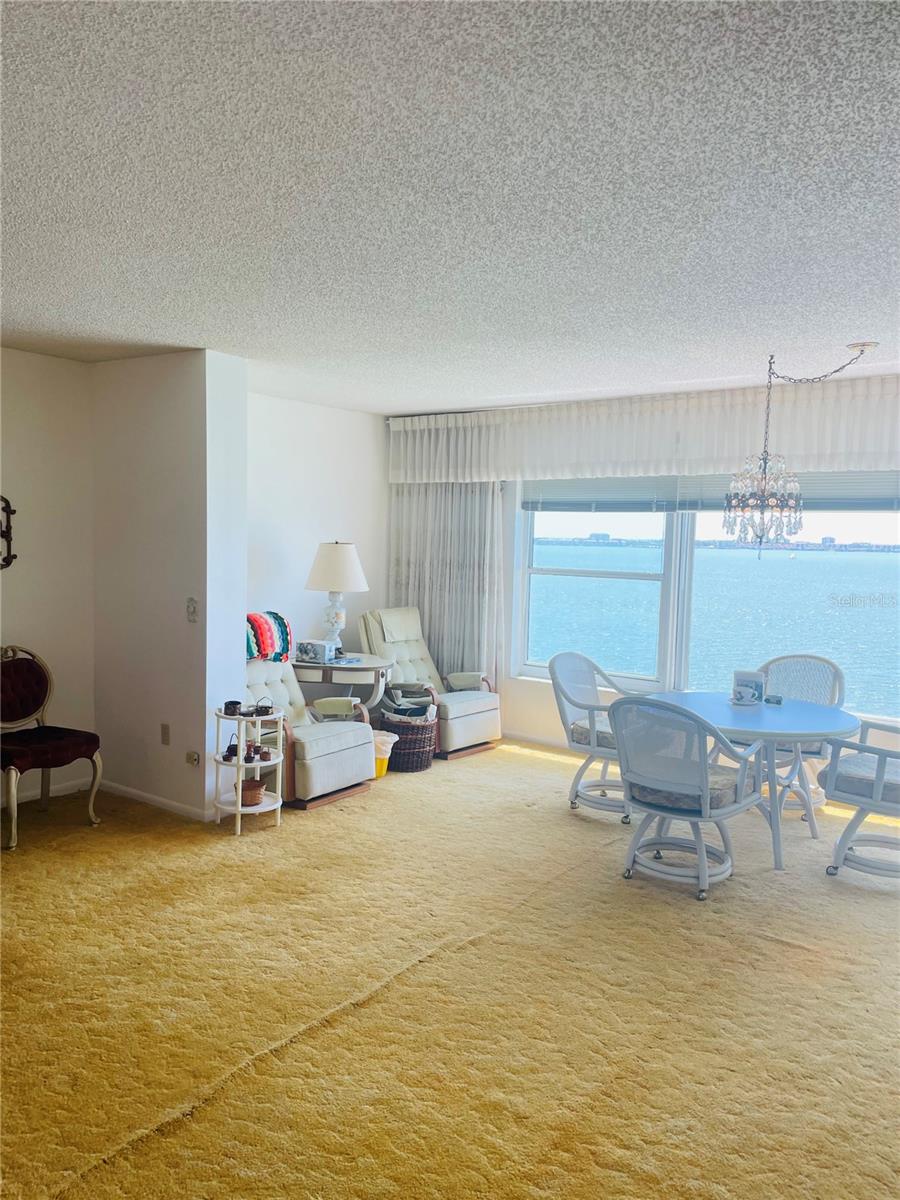 6020 SHORE BLVD S #903, GULFPORT, FL, 33707