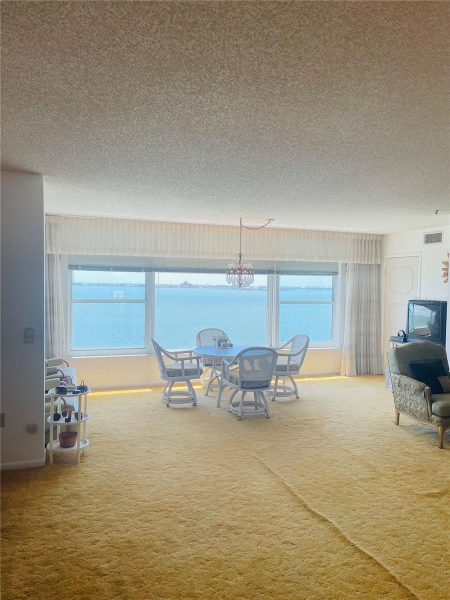 6020 SHORE BLVD S #903, GULFPORT, FL, 33707