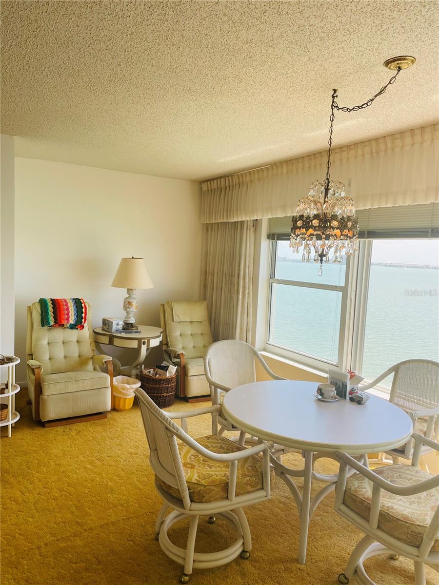 6020 SHORE BLVD S #903, GULFPORT, FL, 33707