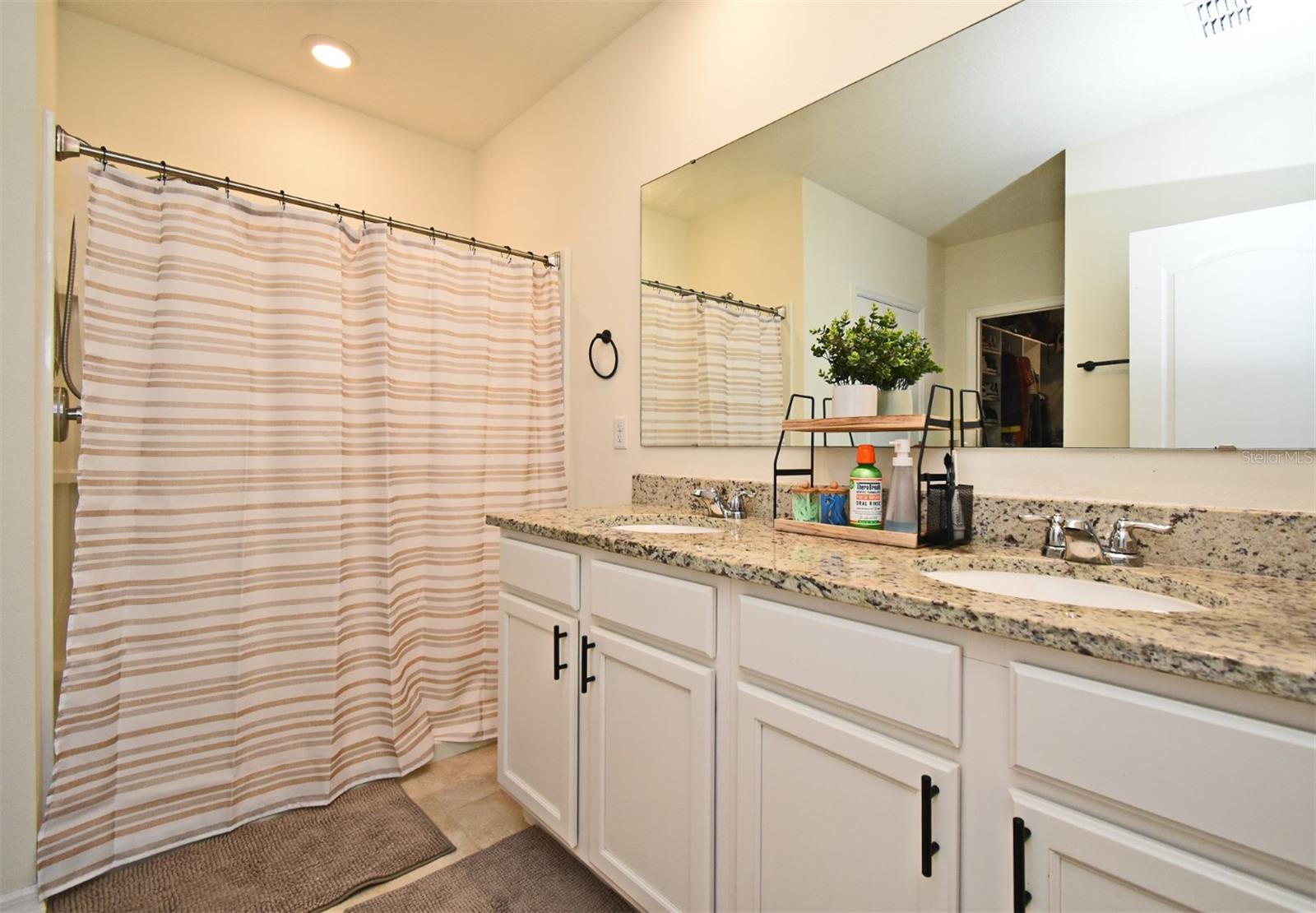 11276 AMBER RIDGE DR, ZELLWOOD, FL, 32798