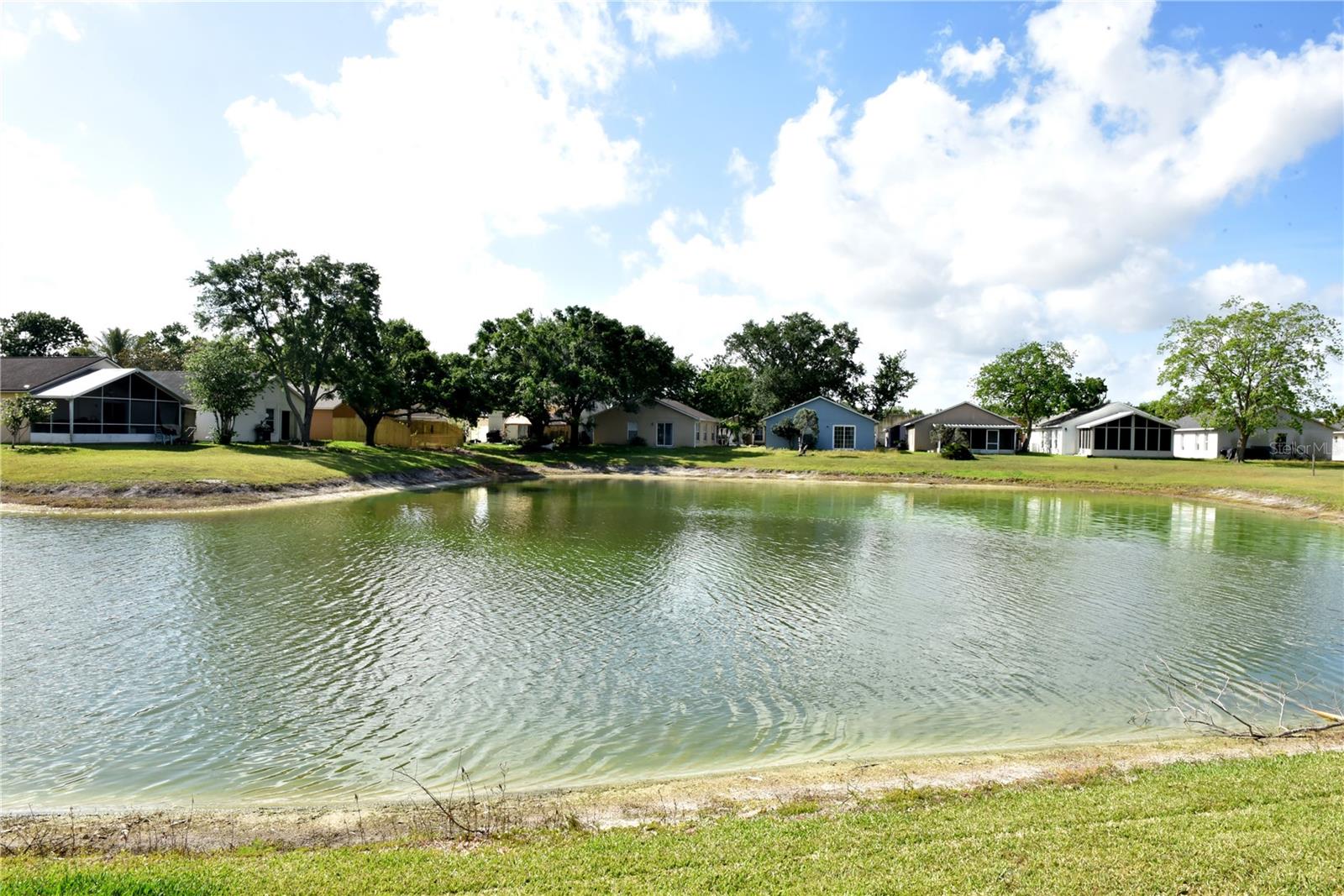 271 DANIELS POINTE DR, WINTER GARDEN, FL, 34787