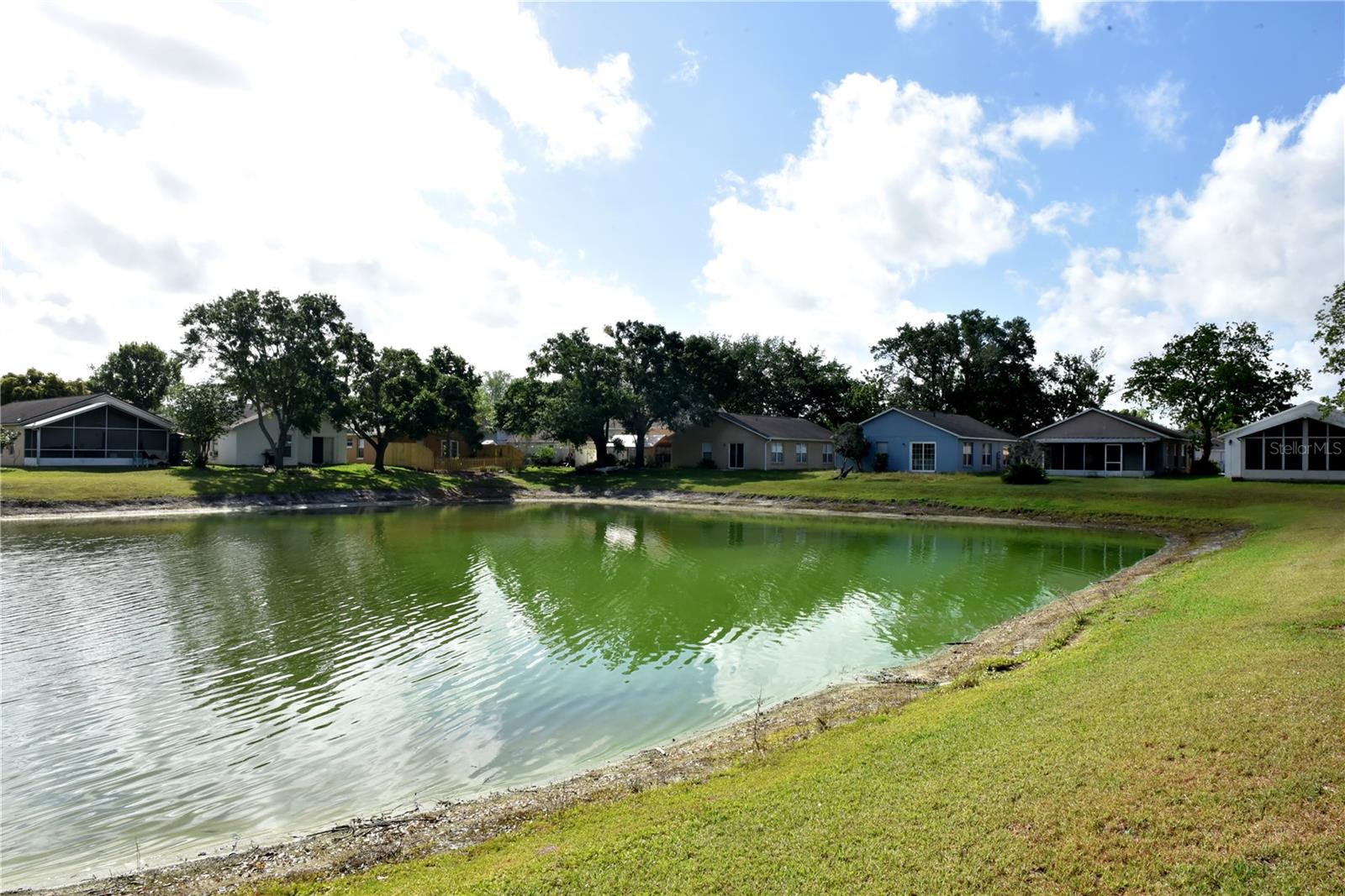 271 DANIELS POINTE DR, WINTER GARDEN, FL, 34787