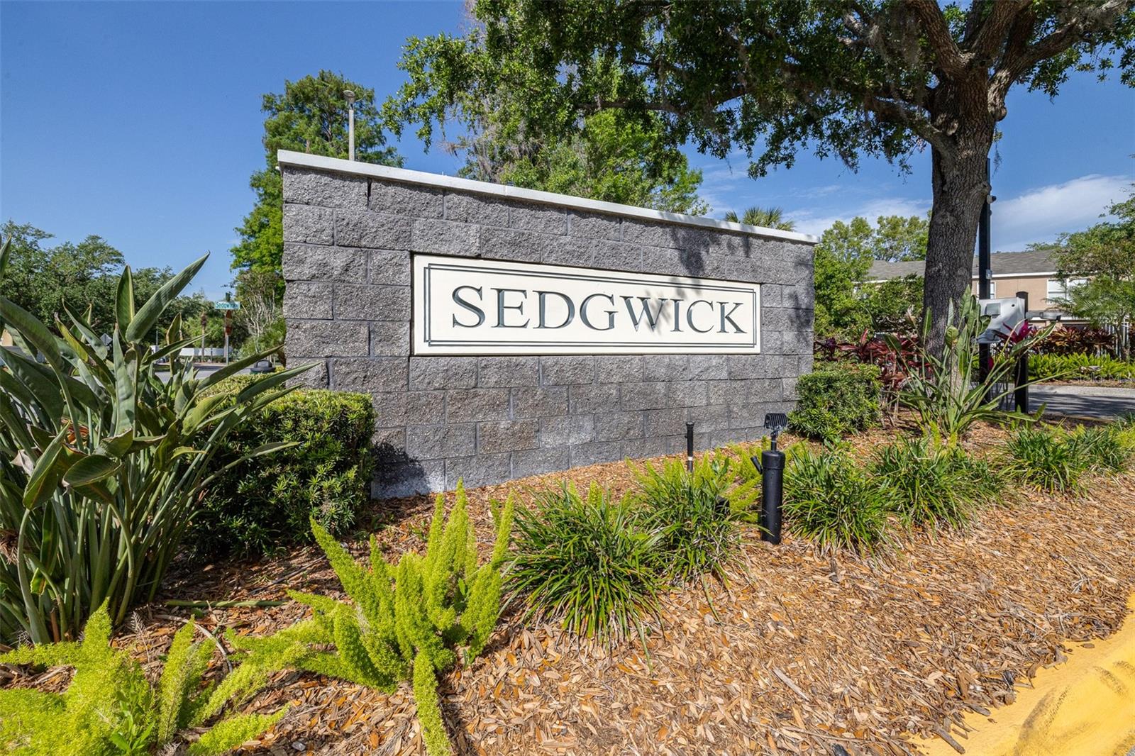 1411 SEDGWICK DR, WESLEY CHAPEL, FL, 33543
