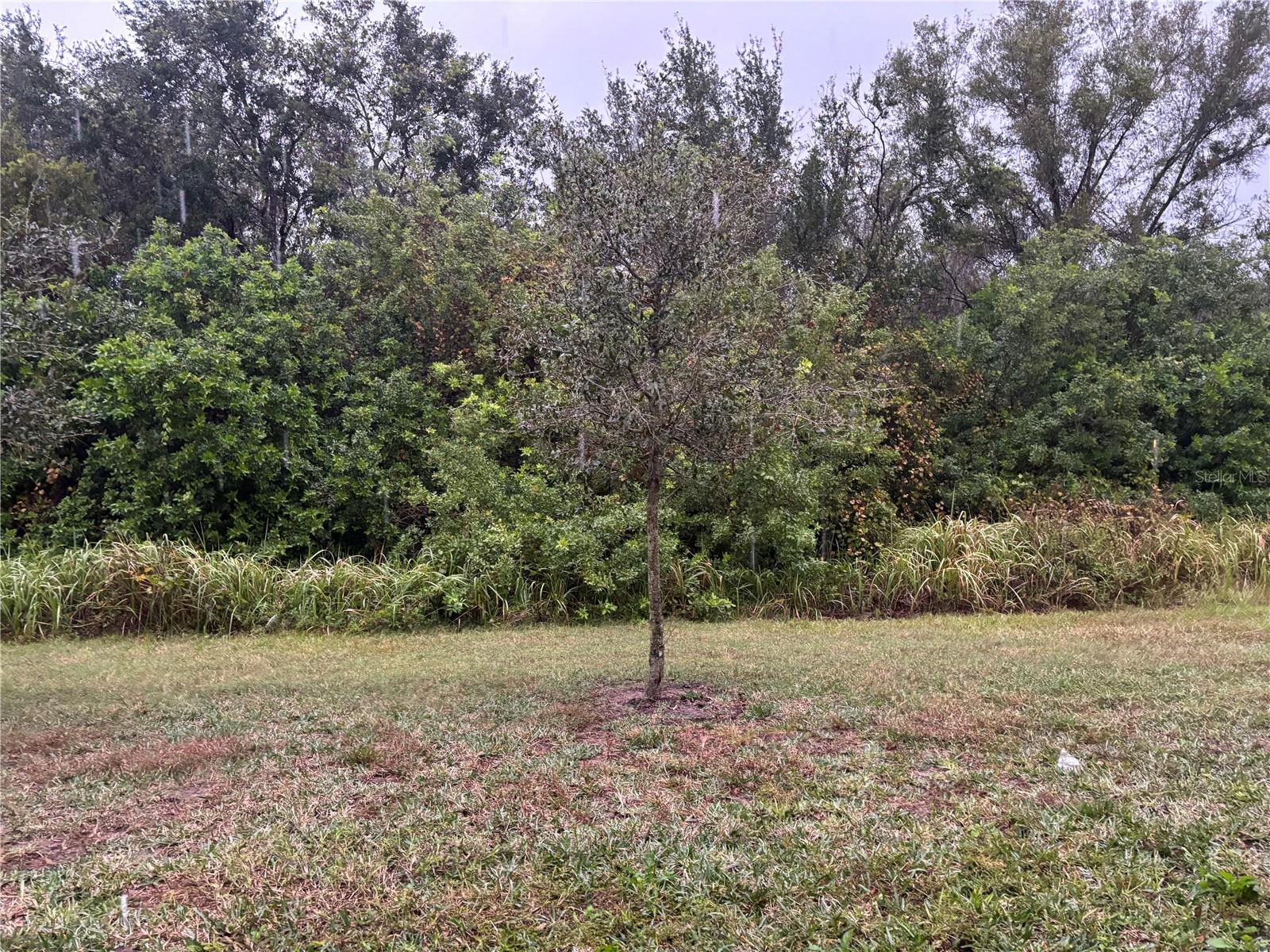 9710 PEMBROOKE PINES DR, SUN CITY CENTER, FL, 33573