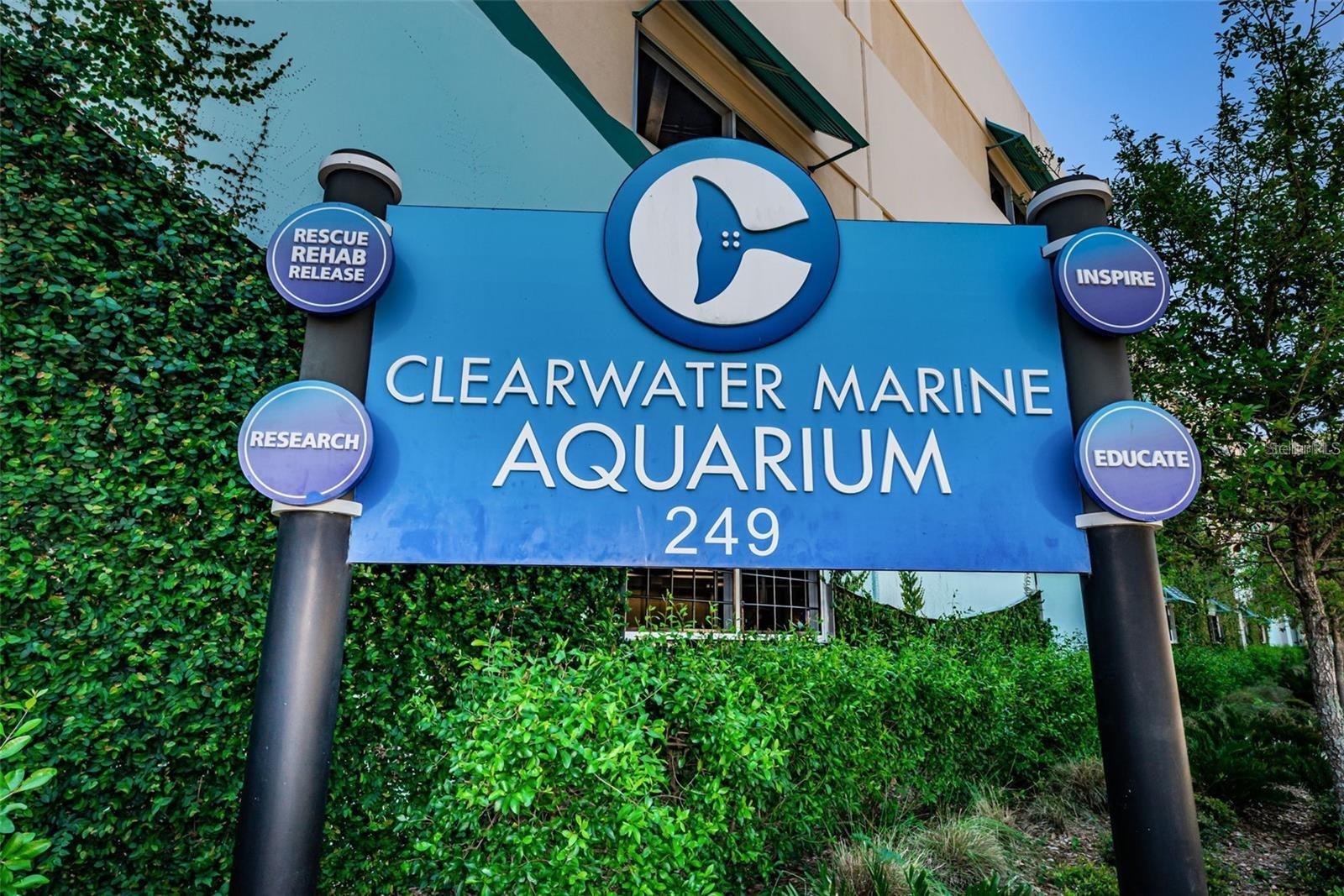 736 ISLAND WAY #303, CLEARWATER BEACH, FL, 33767