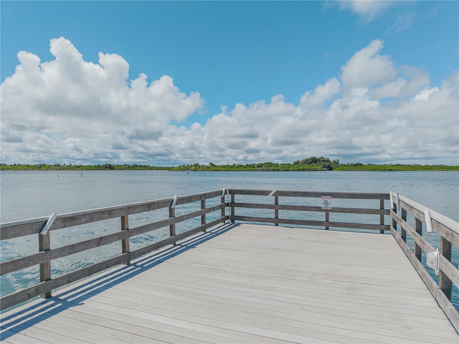 261 MINORCA BEACH WAY #406, NEW SMYRNA BEACH, FL, 32169