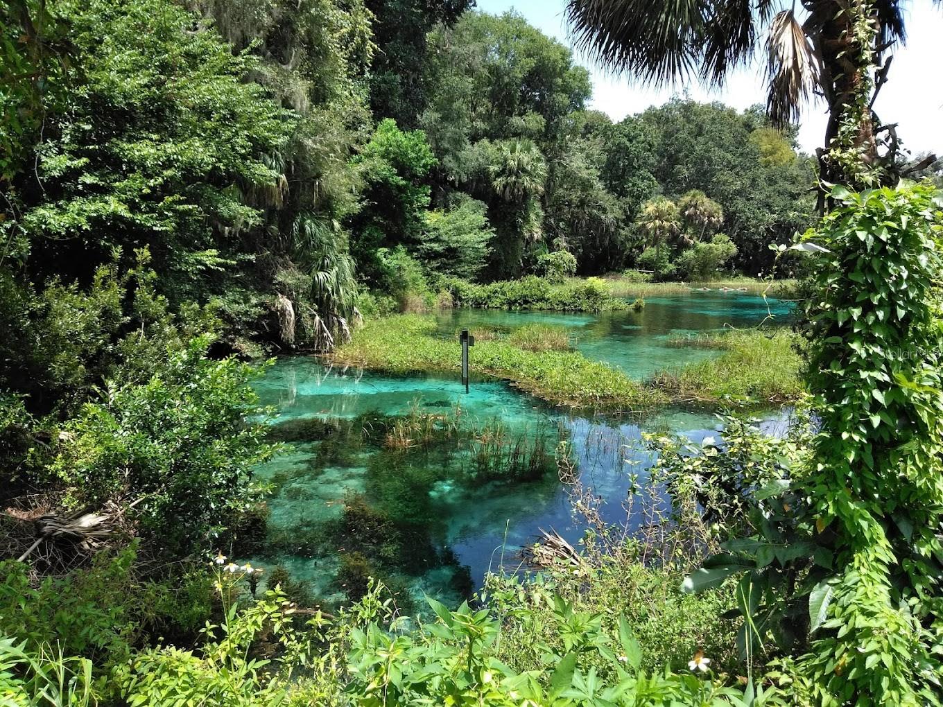 1861 W HAMPSHIRE BLVD, CITRUS SPRINGS, FL, 34434