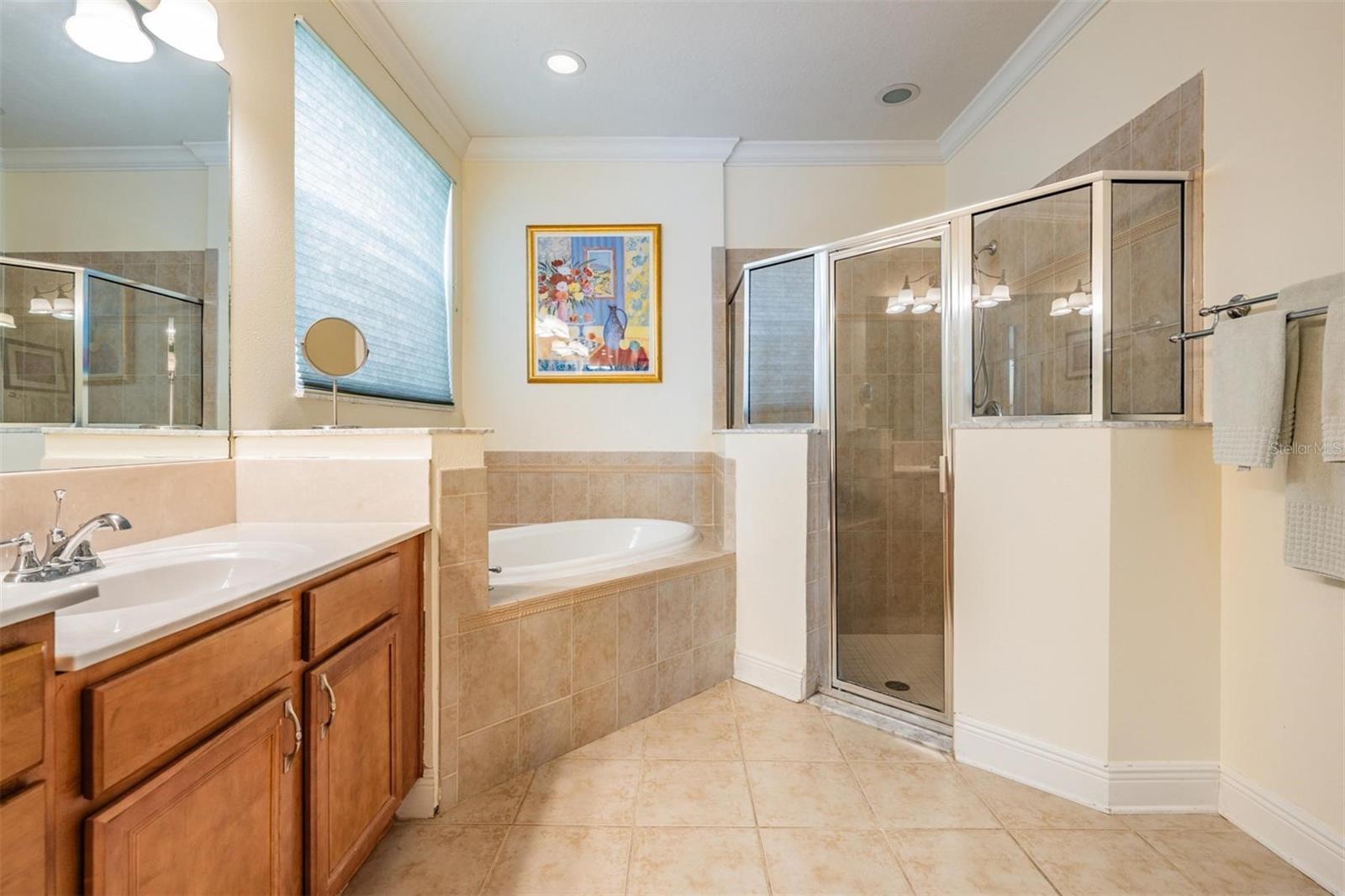 3211 GRASSGLEN PL, WESLEY CHAPEL, FL, 33544