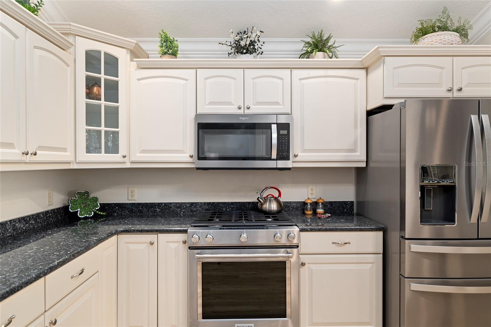 1992 HAGOOD LOOP, THE VILLAGES, FL, 32162