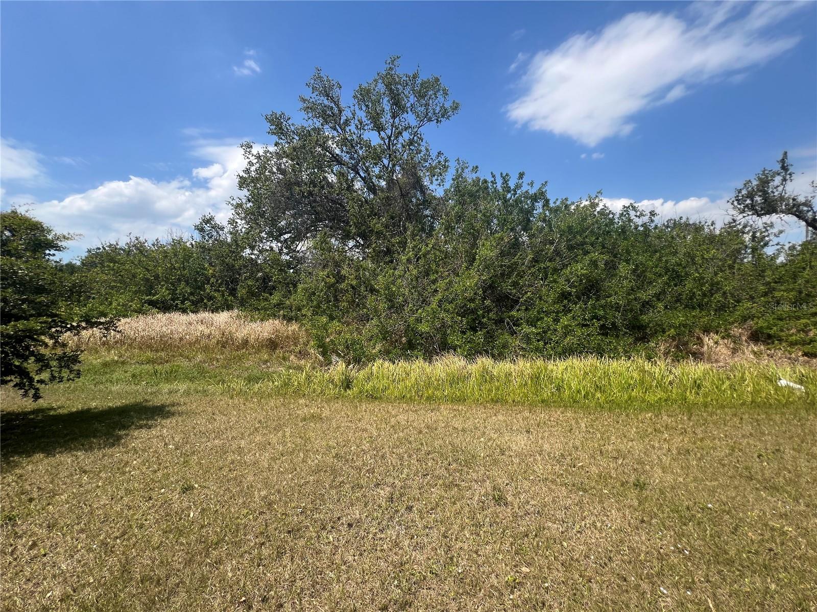 161 ANTIS DR, ROTONDA WEST, FL, 33947