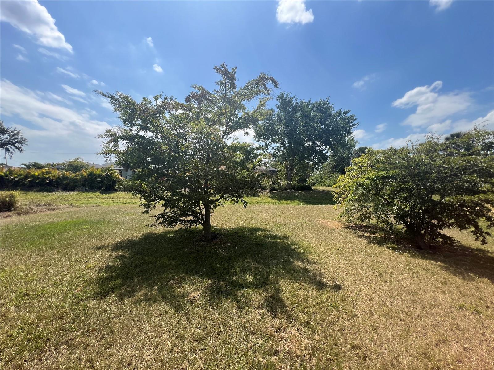 161 ANTIS DR, ROTONDA WEST, FL, 33947