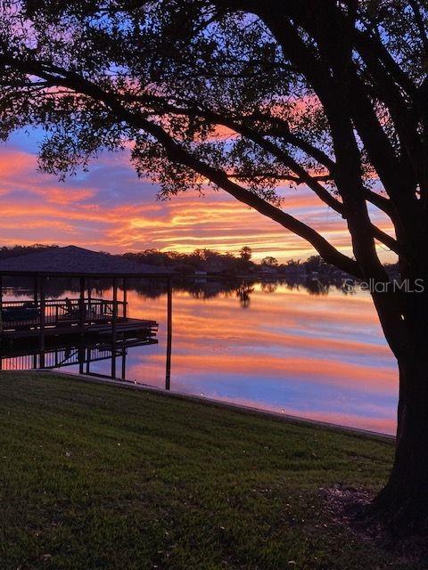 3829 EAGLEFLIGHT LN, LAND O LAKES, FL, 34639