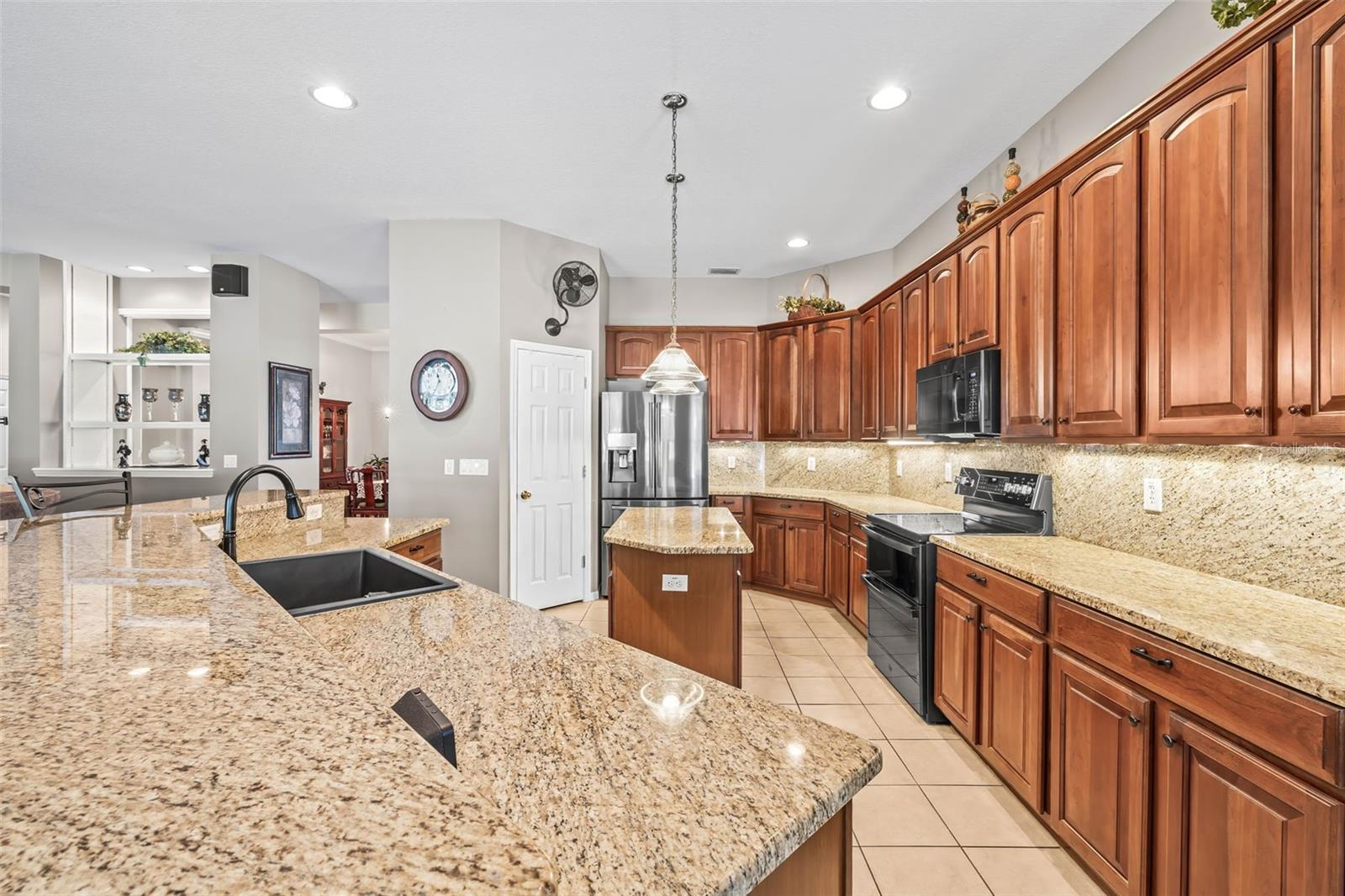 3829 EAGLEFLIGHT LN, LAND O LAKES, FL, 34639