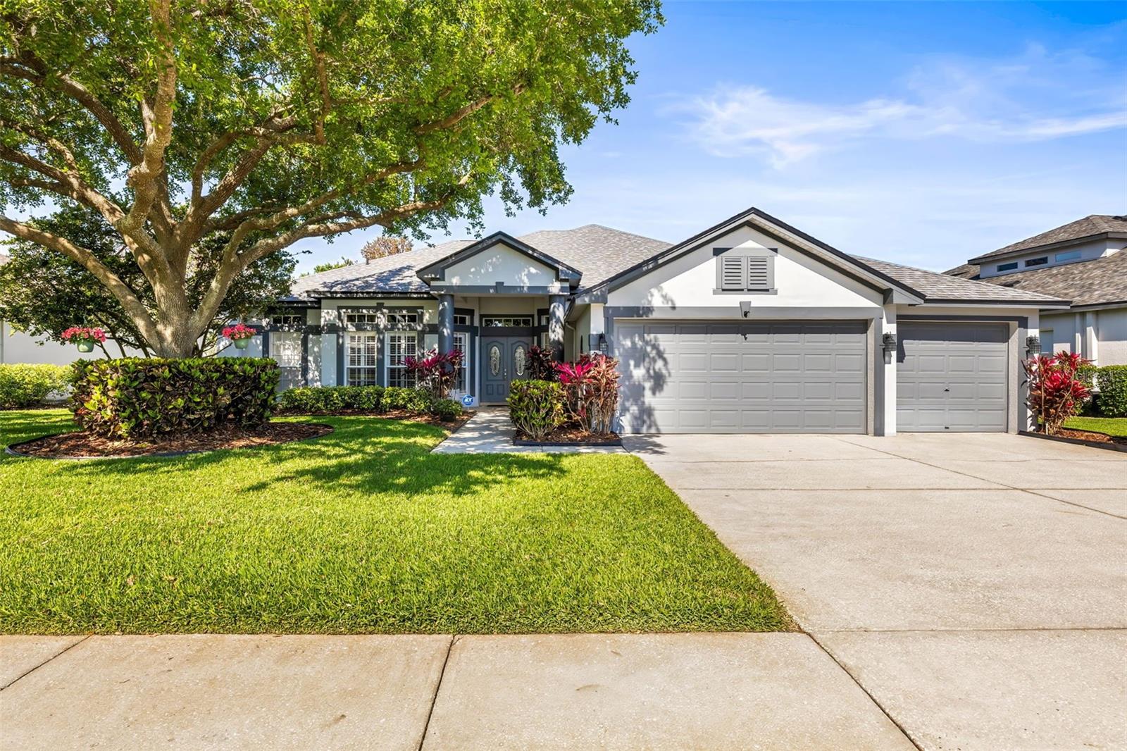 3829 EAGLEFLIGHT LN, LAND O LAKES, FL, 34639