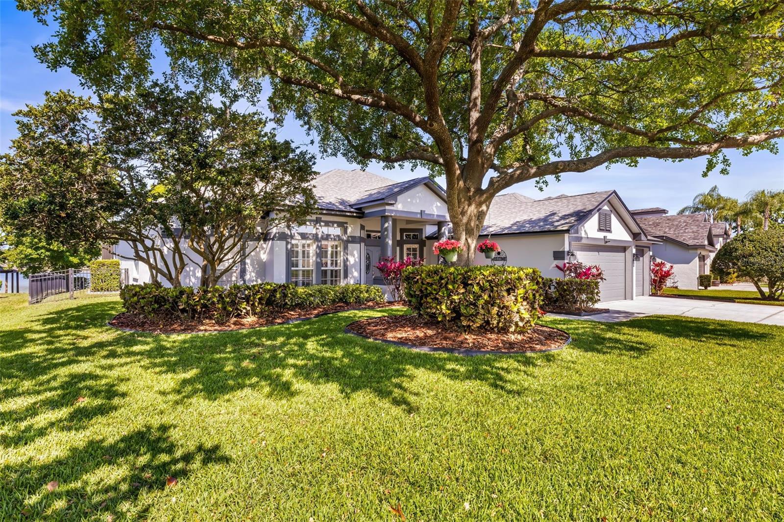 3829 EAGLEFLIGHT LN, LAND O LAKES, FL, 34639