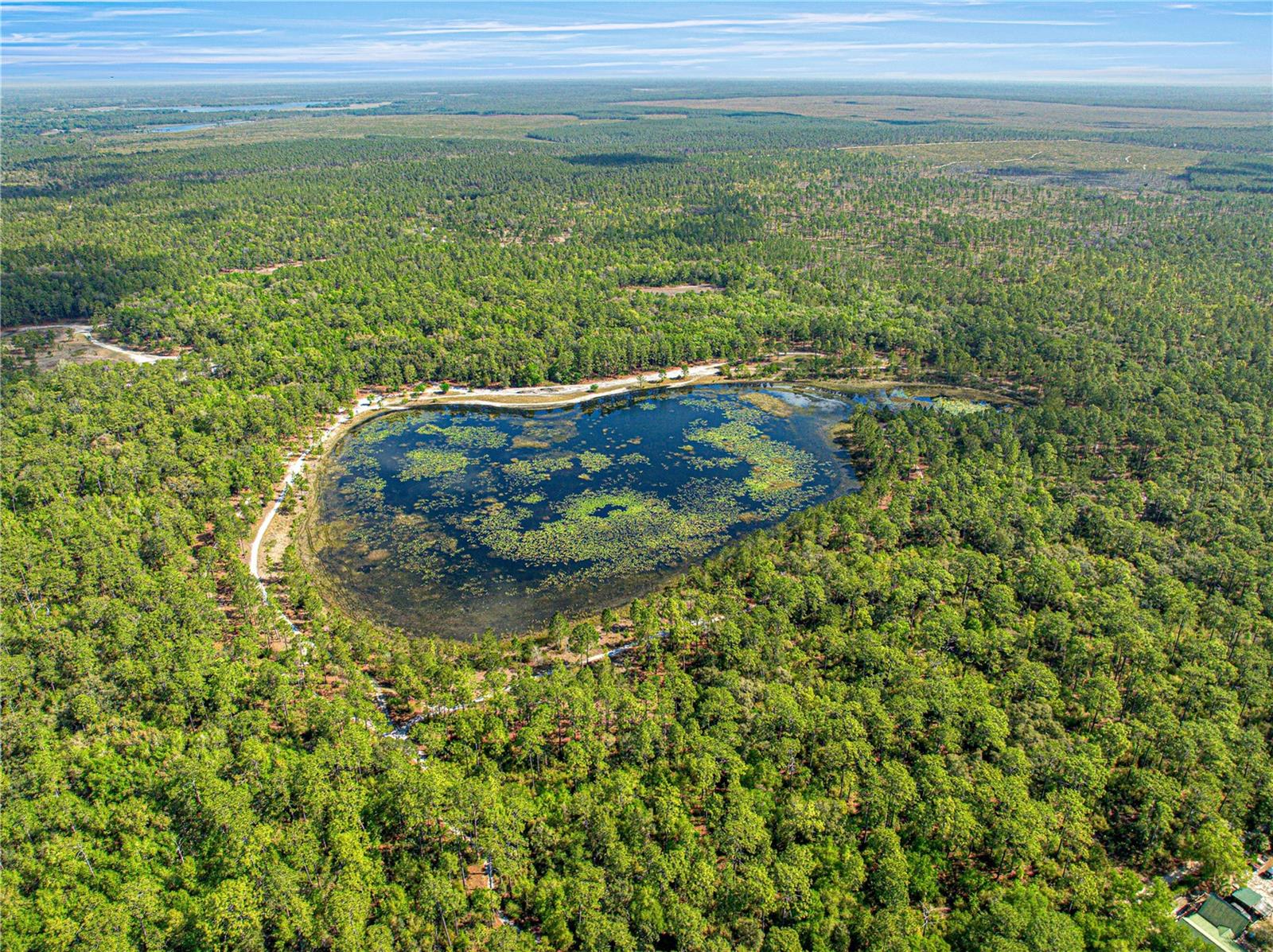 OM698395 Property Photo