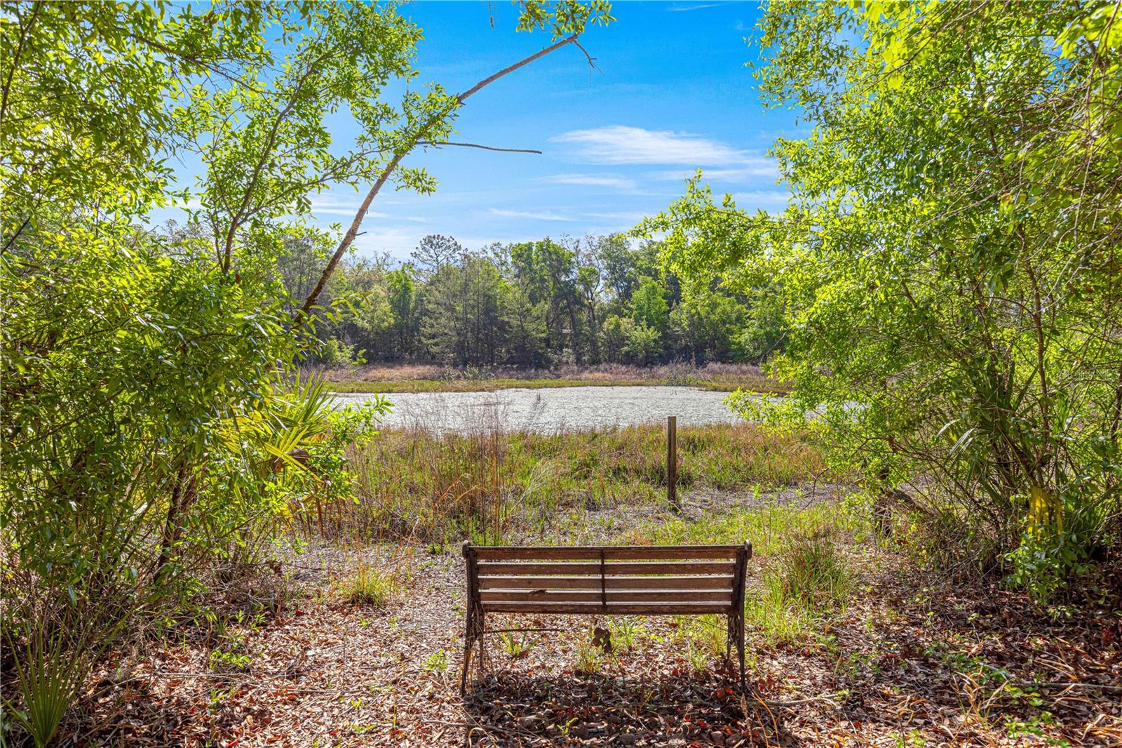 OM698395 Property Photo