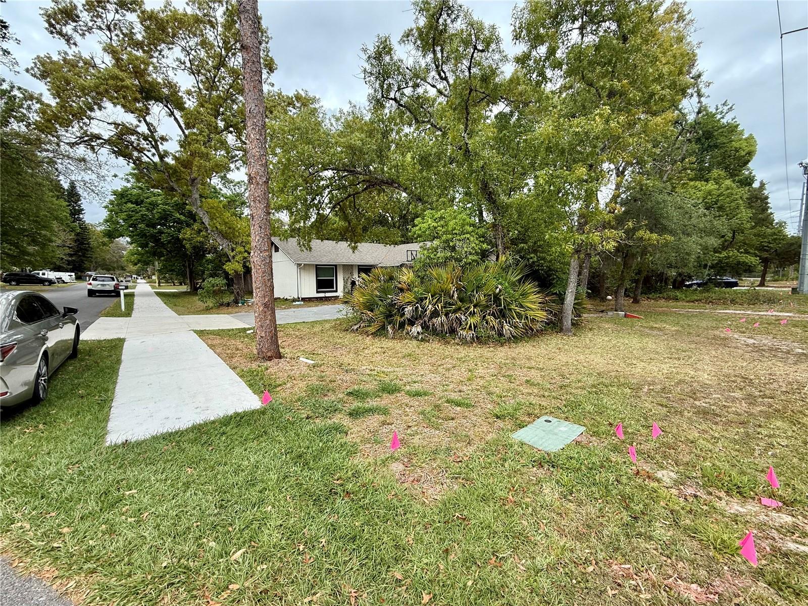 228 LINE DR N, APOPKA, FL, 32703