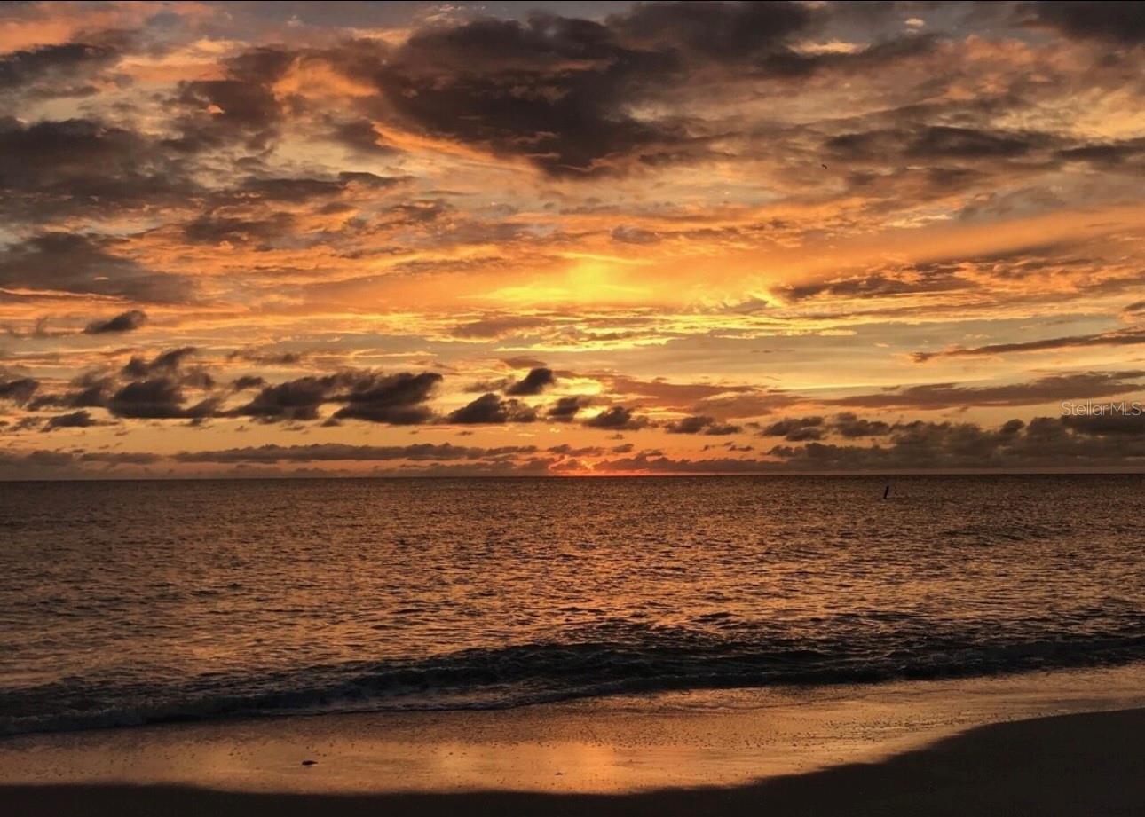 19823 GULF BLVD #42, INDIAN SHORES, FL, 33785