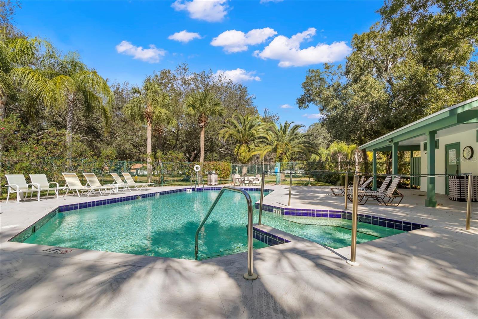 20 IRIS PL, OLDSMAR, FL, 34677