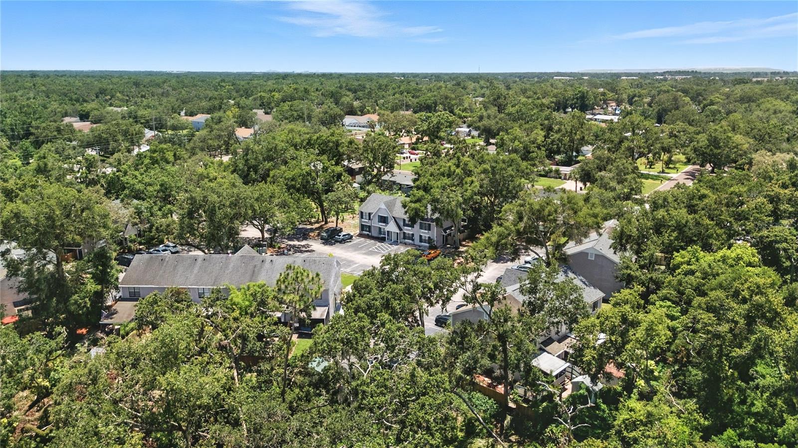 3321 LAUREL VIEW DR, BRANDON, FL, 33511