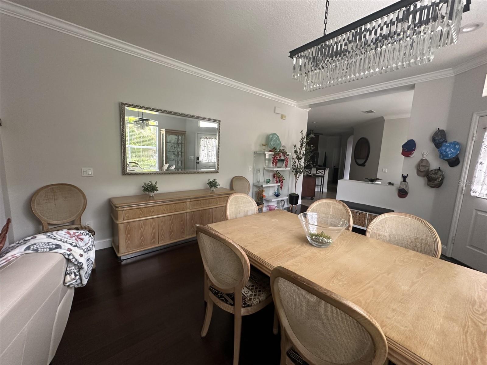 19113 DOVES LANDING DR, TAMPA, FL, 33647