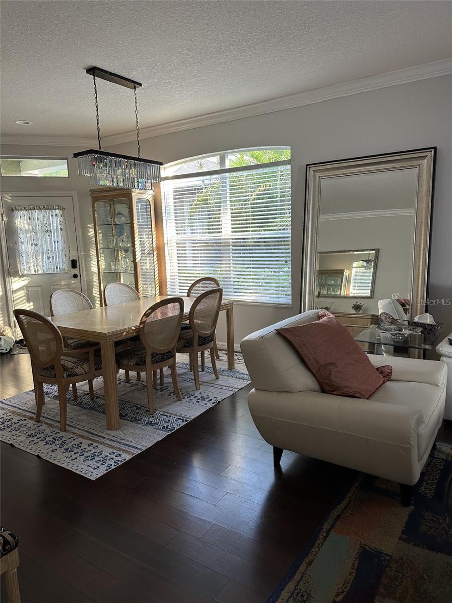 19113 DOVES LANDING DR, TAMPA, FL, 33647