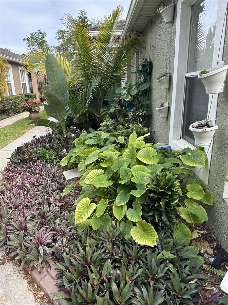 19113 DOVES LANDING DR, TAMPA, FL, 33647