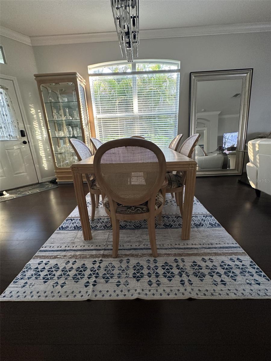 19113 DOVES LANDING DR, TAMPA, FL, 33647