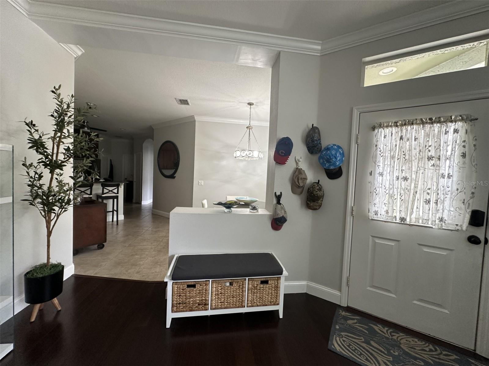 19113 DOVES LANDING DR, TAMPA, FL, 33647