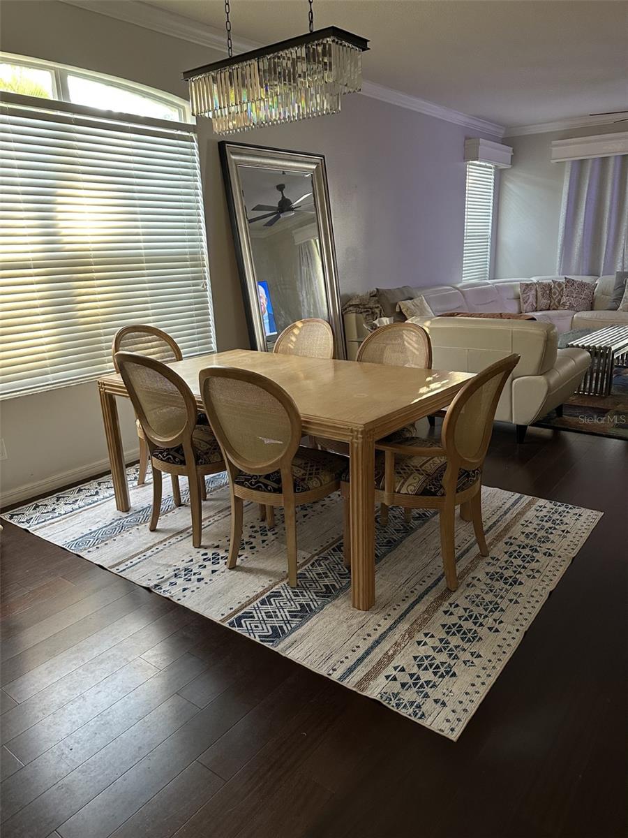 19113 DOVES LANDING DR, TAMPA, FL, 33647